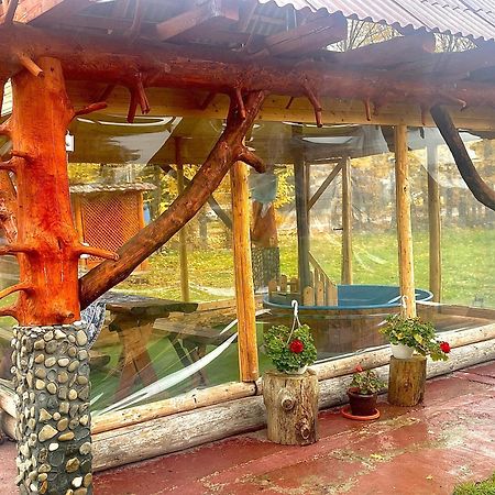 ホテル Casa Marinca Ocna Şugatag エクステリア 写真
