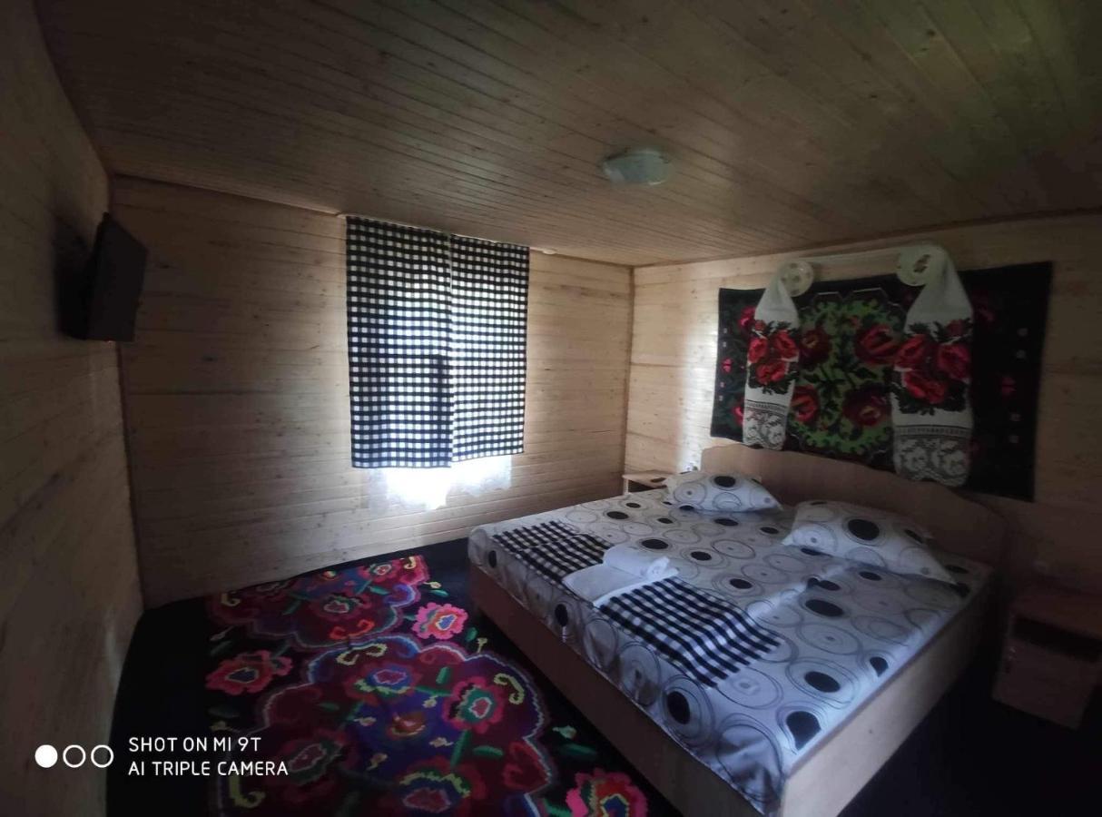 ホテル Casa Marinca Ocna Şugatag エクステリア 写真