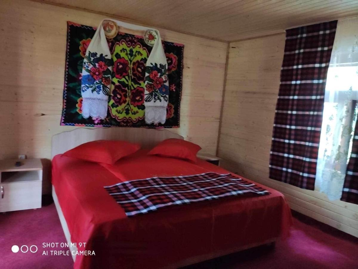 ホテル Casa Marinca Ocna Şugatag エクステリア 写真